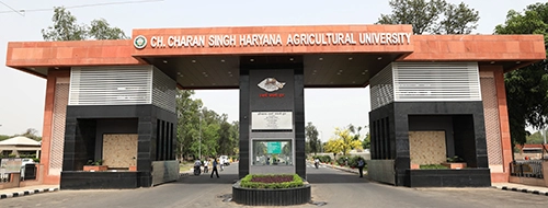 College Of Agricultural Engineering And Technology Hisar
